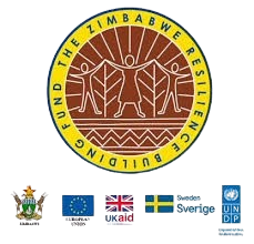 UNDP-ZRBF